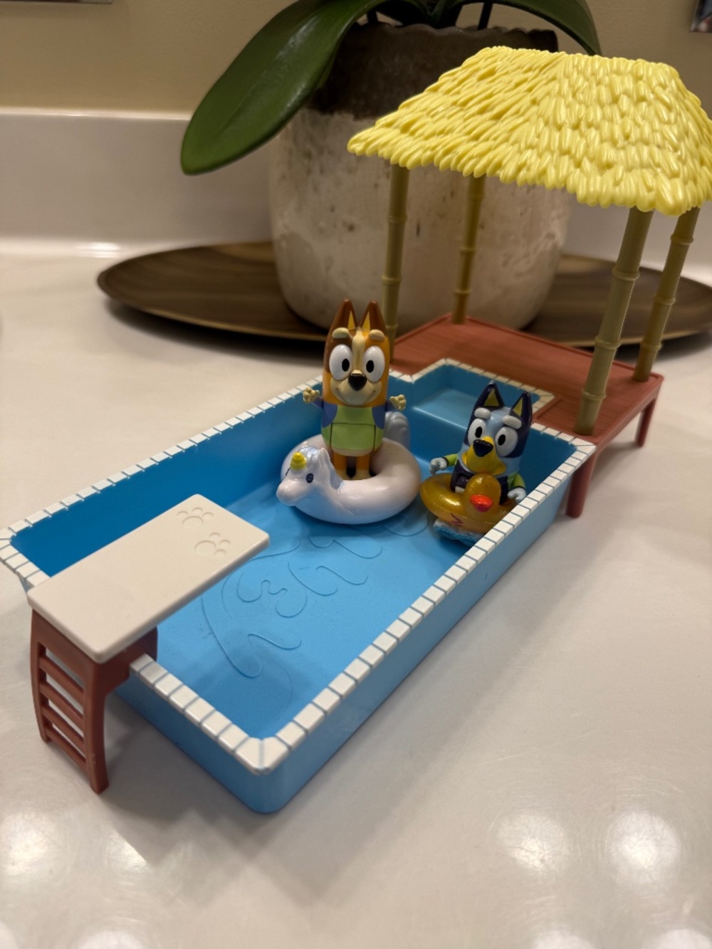 Bluey pool time
